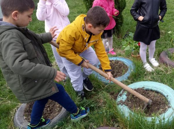 Fasulyelerimiz Toprakla Buluştu